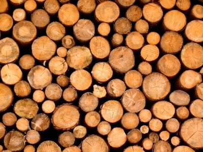 Holzsortimente